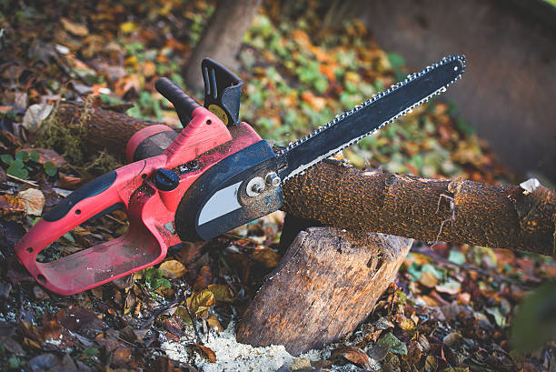 Best Lawn Pest Prevention  in Centreville, MD